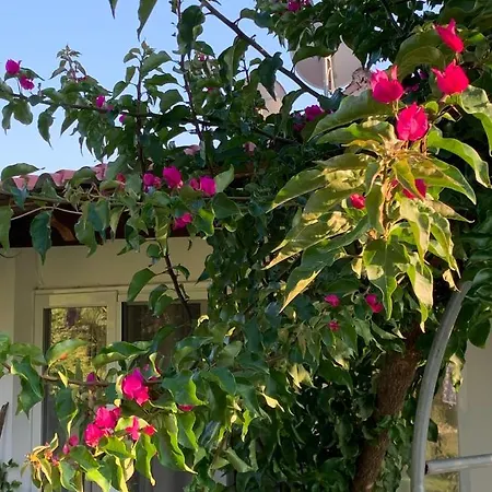 La Casa Di Mare Агиос-Гордиос