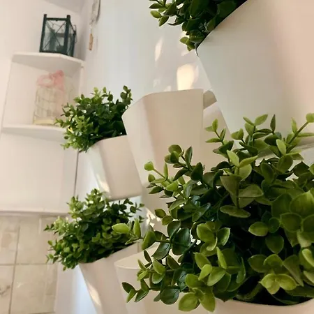 펜션 La Casa Di Mare 아기오스고르디오스