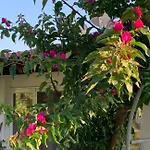 La Casa Di Mare Agios Gordios (Corfu)